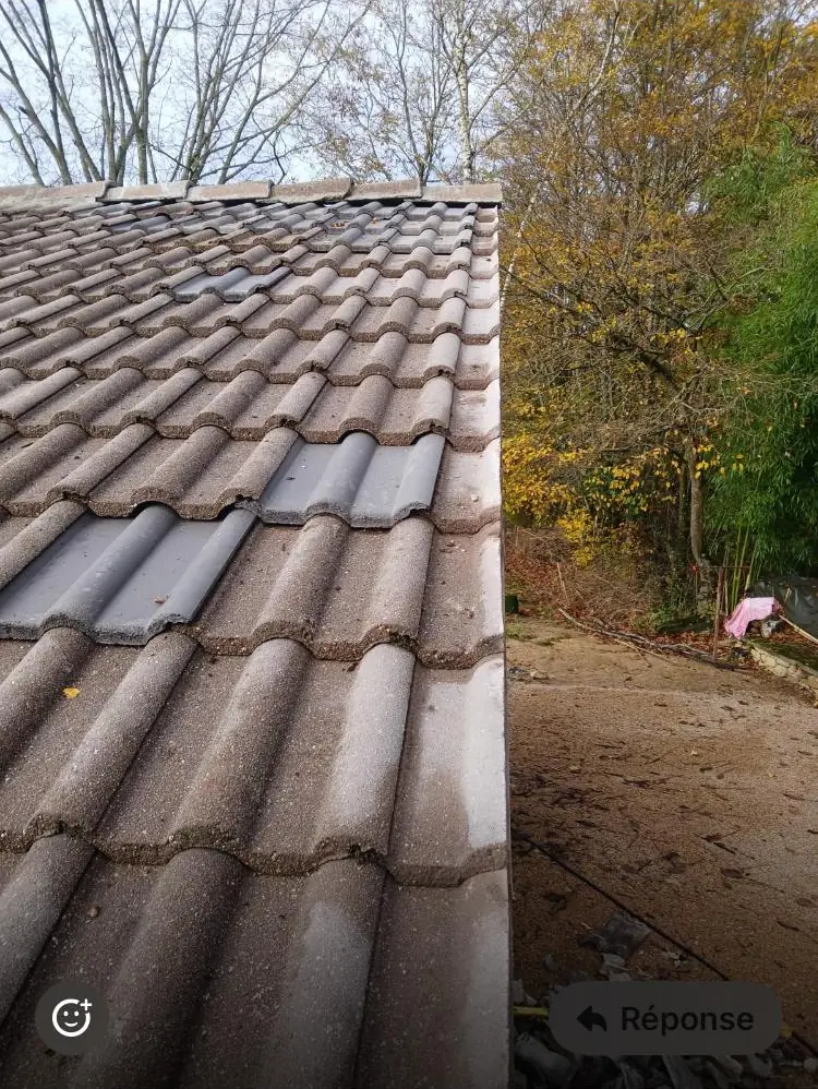 Remplacement de tuiles abîmées sur un pan de toiture